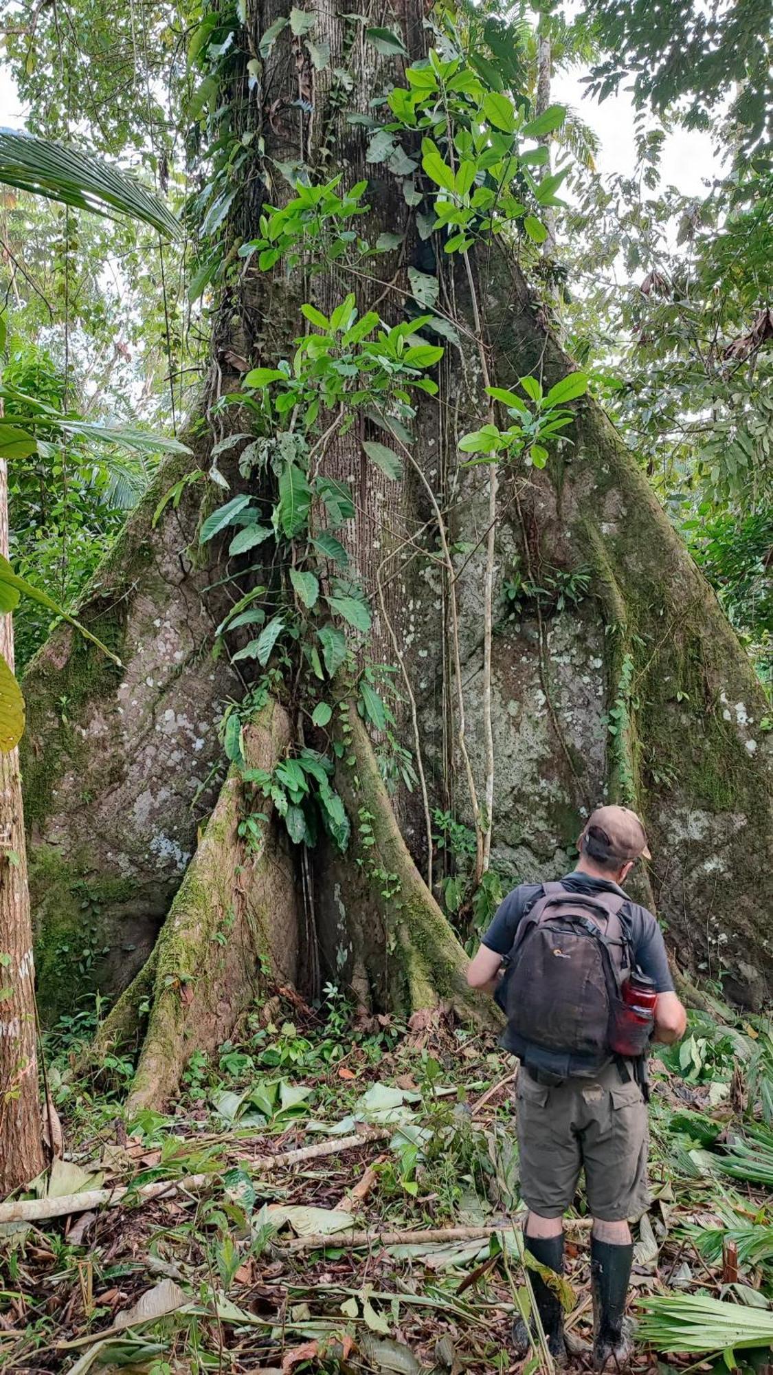 Hospedaje Y Tours Reina Arriera Amazonas Colombia Macedonia Exterior photo